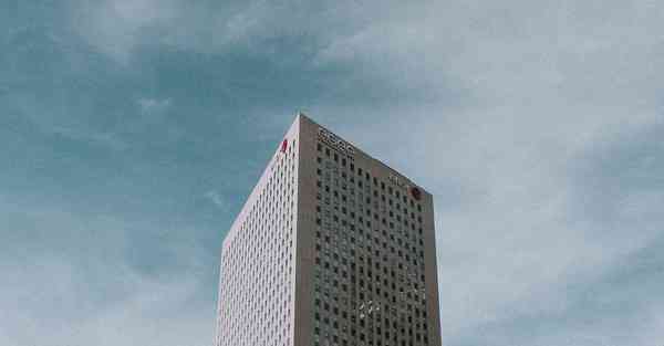 如何制作动态数据图_如何制作动态数据图表