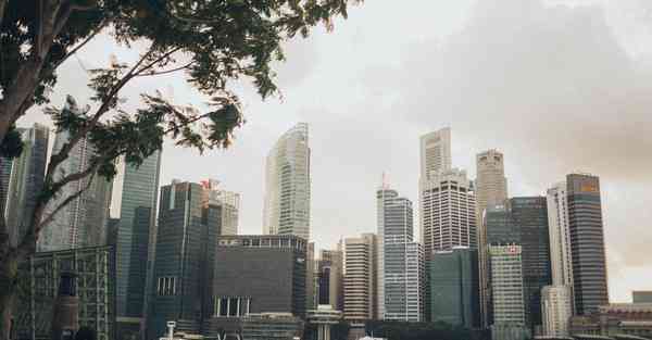 动画制作软件免费使用_动画制作软件免费