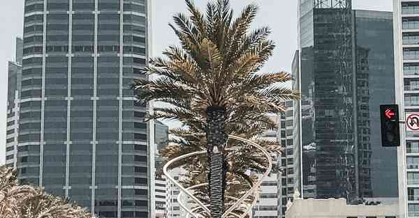 剑来动画制作软件_剑来动画制作