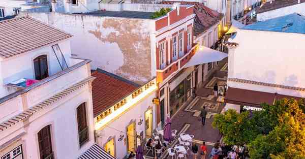 动画制作软件与ai应用