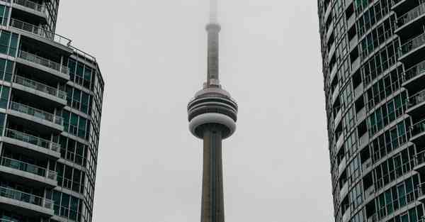 北京动物园熊猫馆开放时间表_北京动物园熊猫馆开放时间