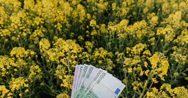 完美世界动画制作方_完美世界动画制作流程