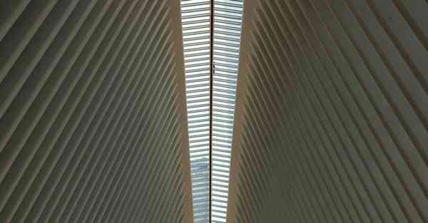 动画制作软件有哪些是免费的