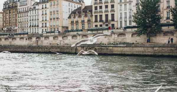 动画大片电影大全_动画大片电影