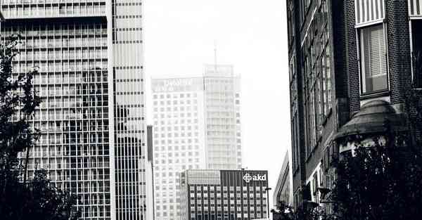 北京动物园熊猫馆门票在哪买_北京动物园熊猫馆门票单买多少钱