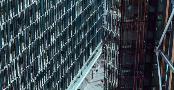 怎么制作兔子的动画_怎么制作兔子头饰