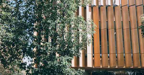 北京动物园熊猫馆介绍_北京动物园熊猫馆介绍视频