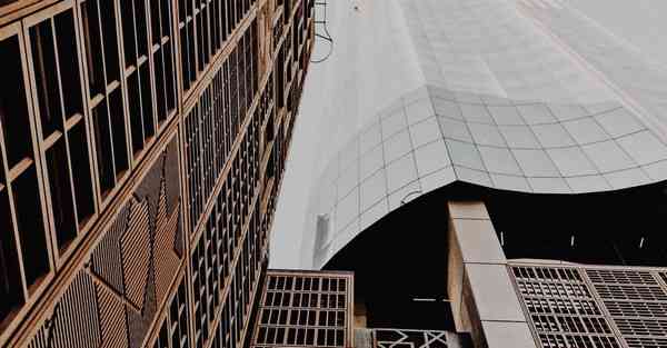 动画制作软件与ai应用