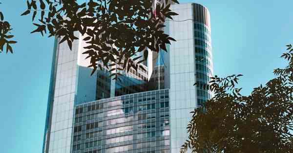 动画制作利用的运动