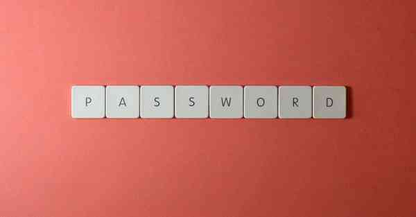 完美世界动画制作公司是哪家