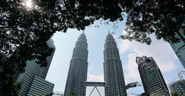 美册制作动画视频教程