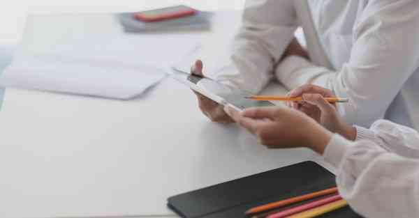 北京动物园大熊猫萌兰越狱公告_北京动物园大熊猫萌兰越狱