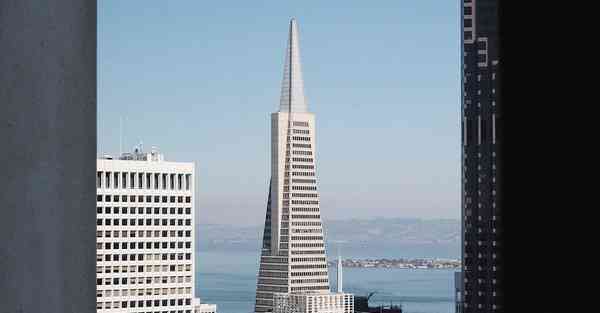 如何区分动画制作方式