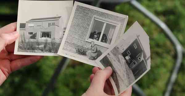 动画制作软件有哪些_动画制作软件有哪些是免费的