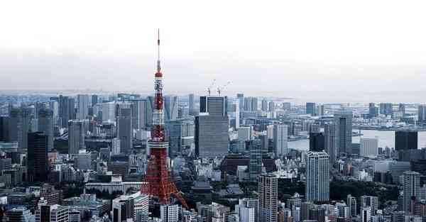 贺年动画片制作_贺年动画片大全