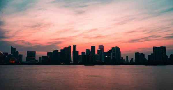 生存社制作的动画