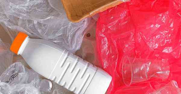 北京动物园熊猫饲养员采访_北京动物园熊猫饲养员