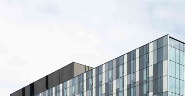 北京动物园熊猫萌兰直播在线观看