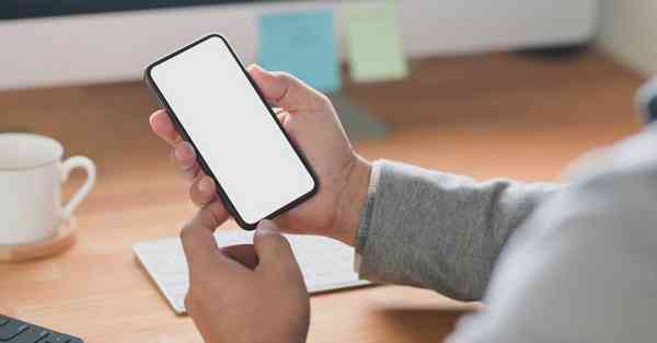 简述动画的制作流程