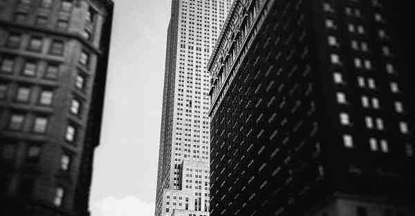 北京动画学校_北京动物园熊猫