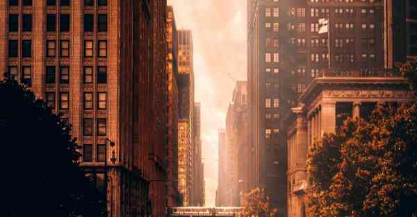 动画制作哪个国家做的比较好