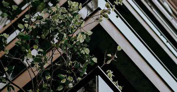 照片制作头像方法_照片制作头像挂件