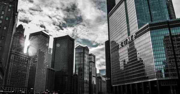 成品动漫视频在线观看