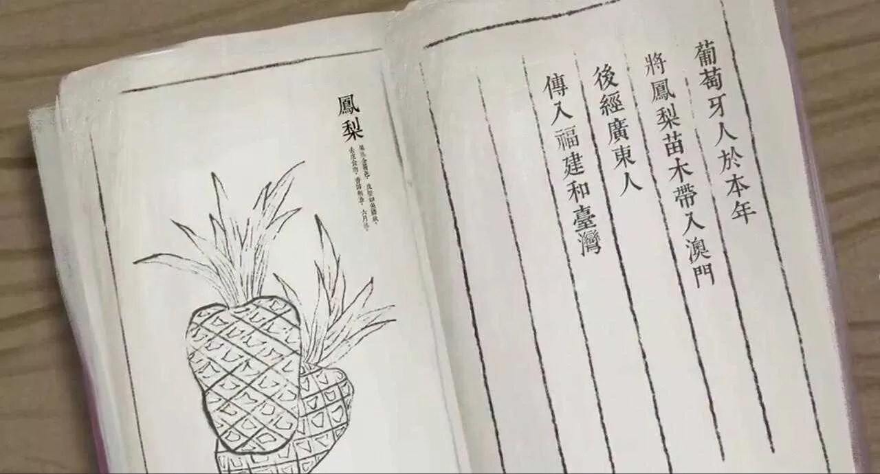 麦当劳创意广告